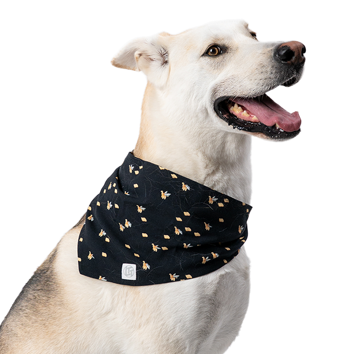 Screensaver Pet Bandana