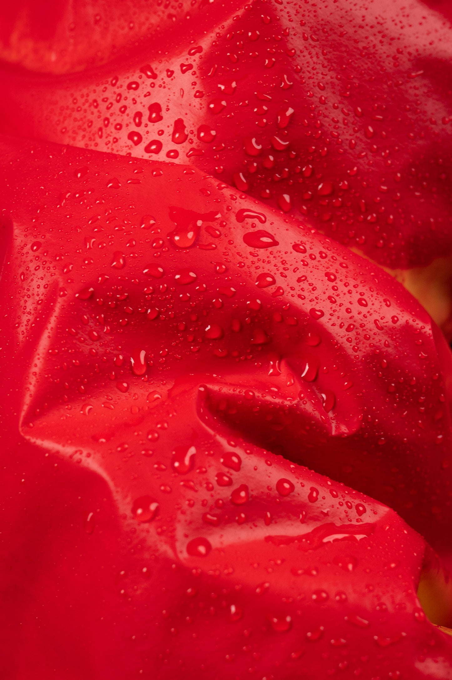 Veste thermochromatique