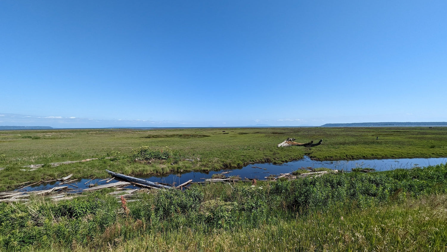 As Dusk falls we rest in the Meadows