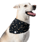 Screensaver Pet Bandana