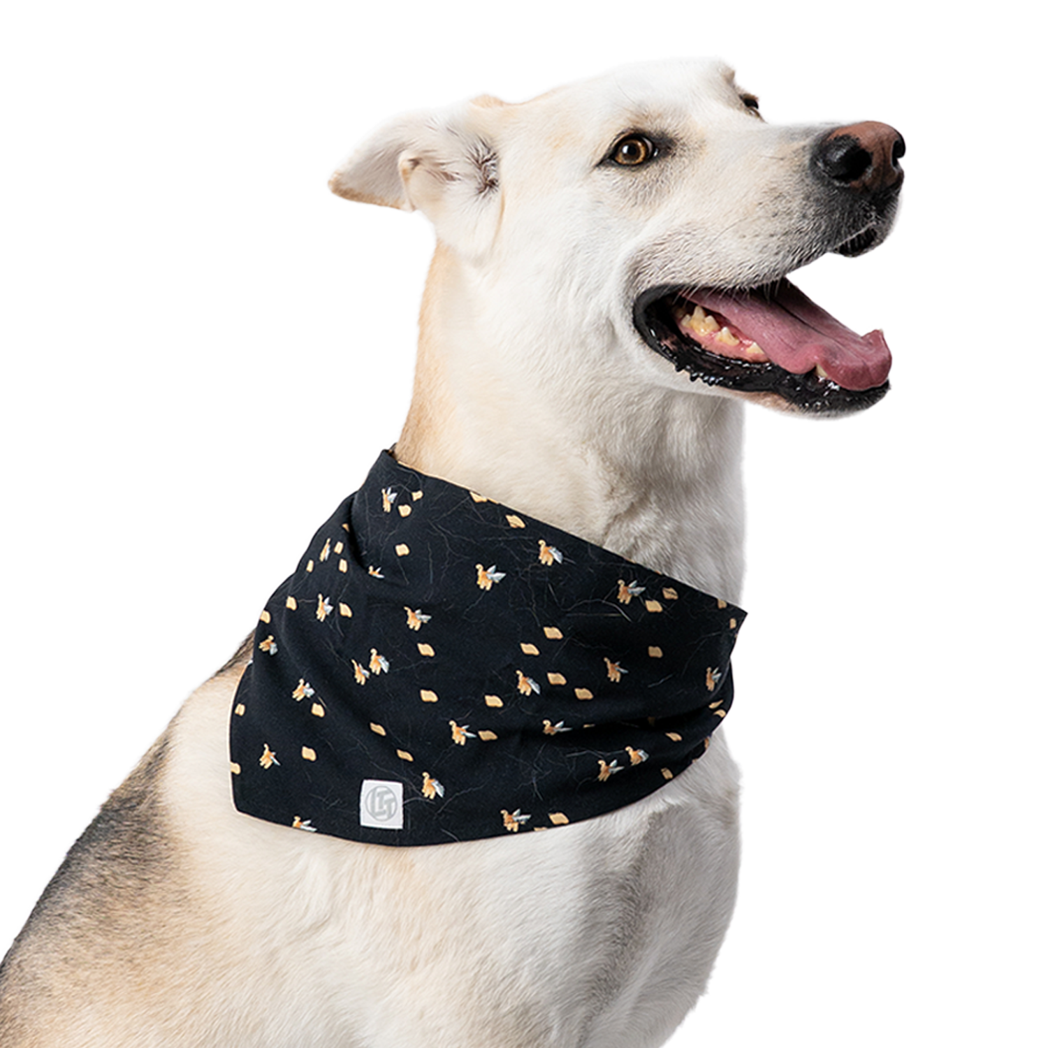 Bandana pour animaux de compagnie économiseur d'écran
