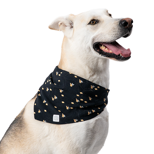 Bandana pour animaux de compagnie économiseur d'écran