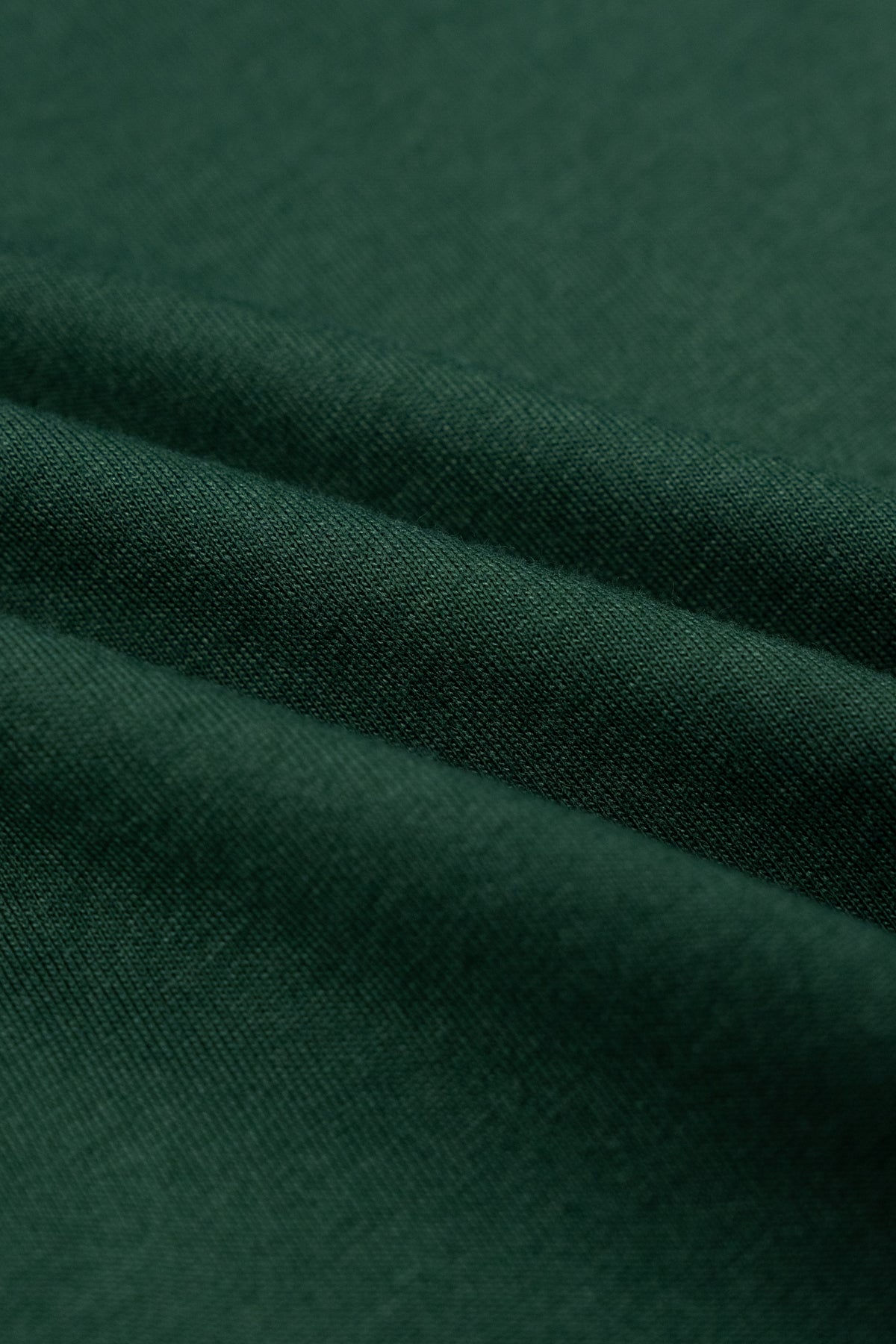 #color_pine needle
