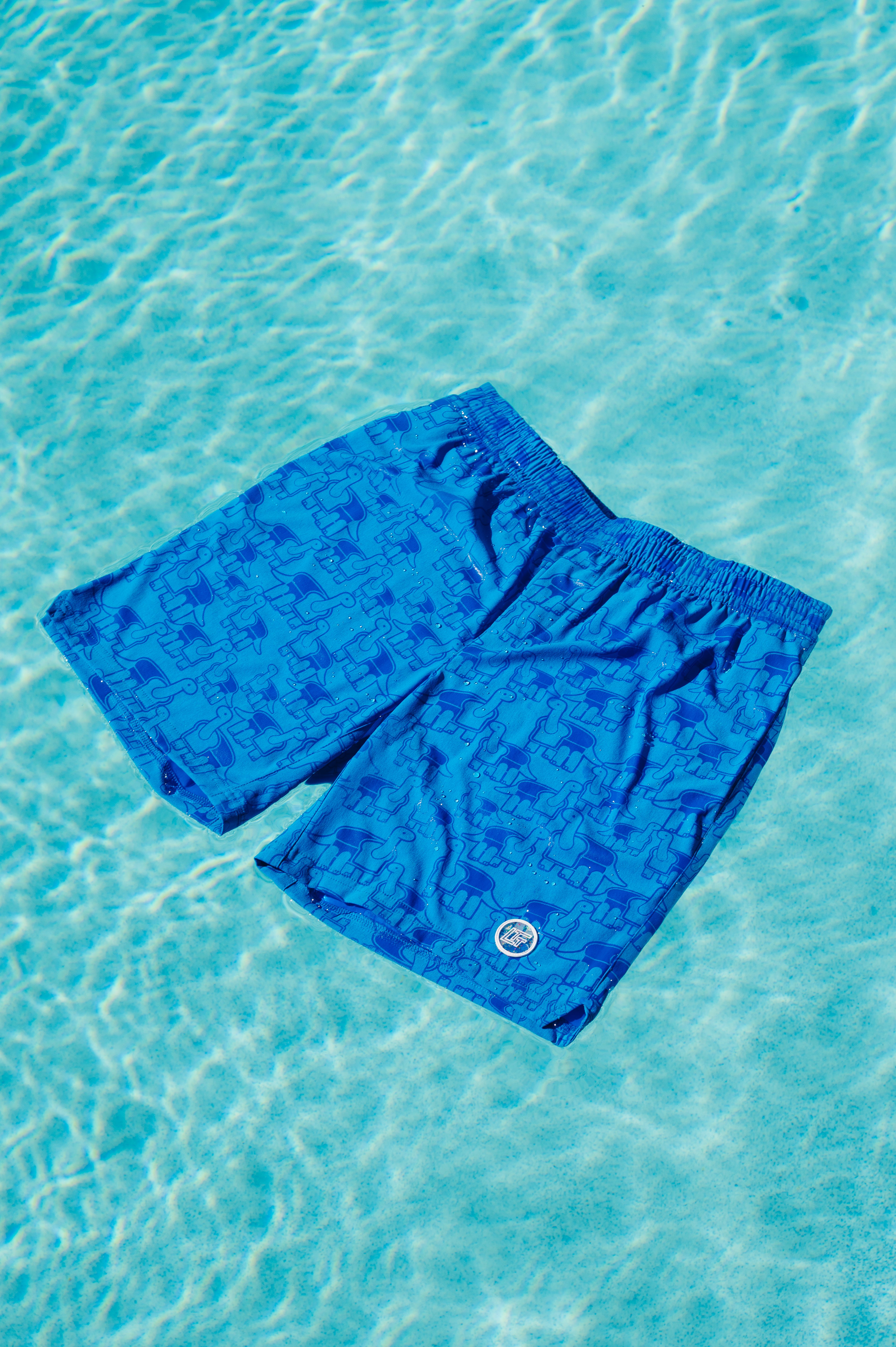 Hydrophase Swim Shorts