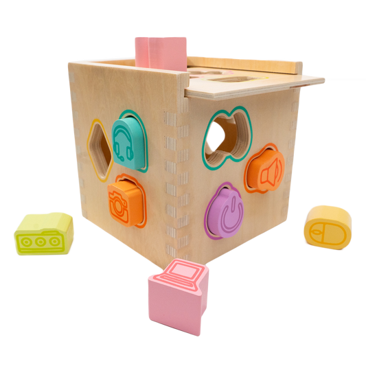 Shape Sorter Toy